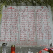 BOLNISNICA FRANJA 2012_28