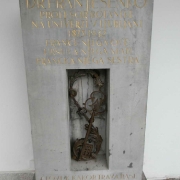 BOLNISNICA FRANJA 2012_10
