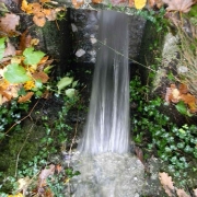 BOLNISNICA FRANJA 2012_17