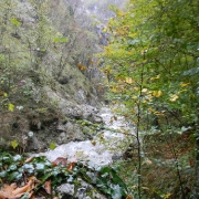 BOLNISNICA FRANJA 2012_22