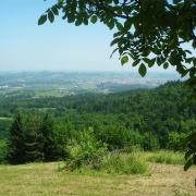 Marinovo2010_27