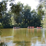OZSC METLIKA KOLPA 2013_17