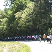 Pohod Pekre 2012 AP_14
