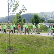 Pohod Pekre 2014 SA_12