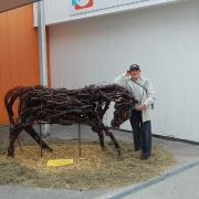 RADGONA SOBRA SEJEM_1