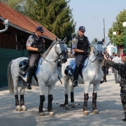 RADGONA SOBRA SEJEM_27