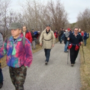 Sabotin 2008