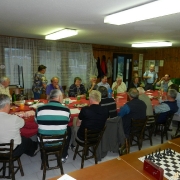 SAH MALECNIK 2012_11