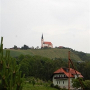 SAH MALECNIK 2014  MF_1