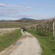 Soska fronta 2012 AP_31