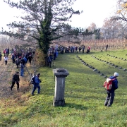 Soška fronta 2015_18