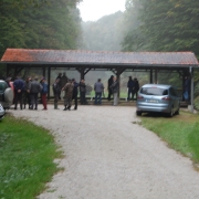STRELJANJE Z AP 2012_21