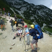 TP TRIGLAV 2013 ATIN_1