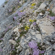 TP TRIGLAV 2013 ATIN_10