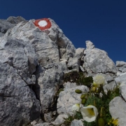 TP TRIGLAV 2013 ATIN_30