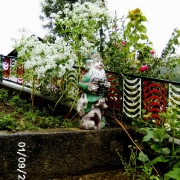 Trebelno 2012 NM VO_8