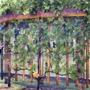 TREBELNO 2012 PA_7