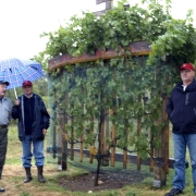 TREBELNO 2012 PA_8