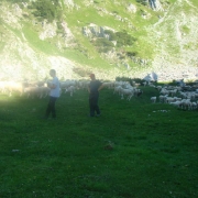 TRIGLAV 2010_144