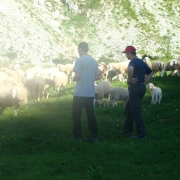 TRIGLAV 2010_145