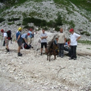TRIGLAV 2010_8